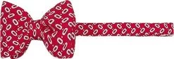 Schleife, Seide, Rot Gemustert